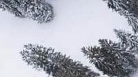 Bird eye’s view!, by Kimon Maritz